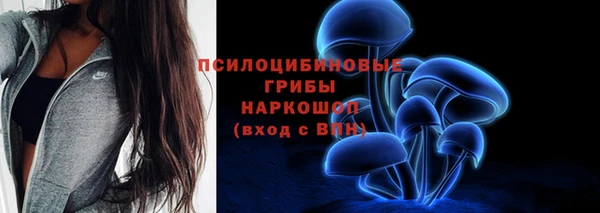 спайс Алексеевка