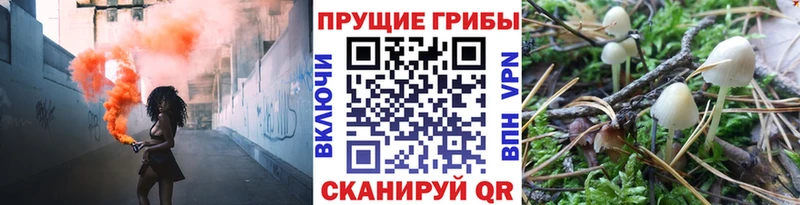 Псилоцибиновые грибы прущие грибы  Амурск 